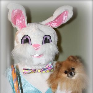 Meet your Posher, Cosmo